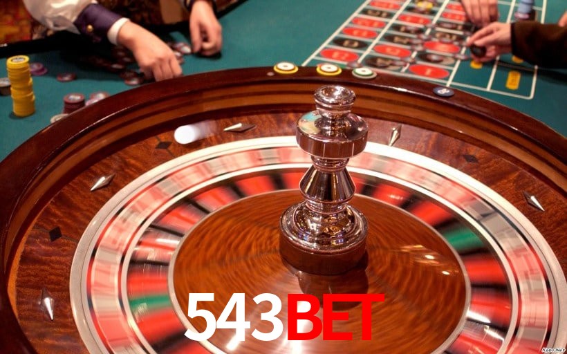 Interface Premium 543BET